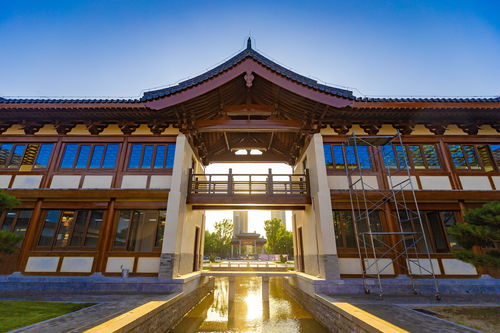 河北定州 園博會場館建設(shè)沖刺忙